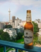 Beer Pilsner Krombacher 4.8% Bottle 660ml in Auckland, New Zealand